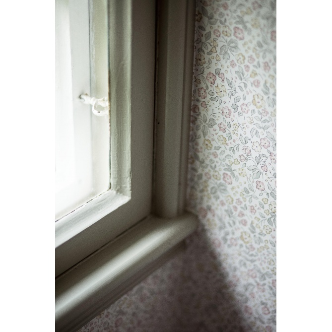 Papel Pintado Florecitas - JASMINA 03 | MURAKE - 64707