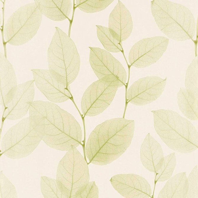 Papel Pintado Ramas con hojas - LISCIE 03 | MURAKE - 423353