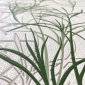 Papel Pintado Columna hojas - GREVE 01 | MURAKE - 63501