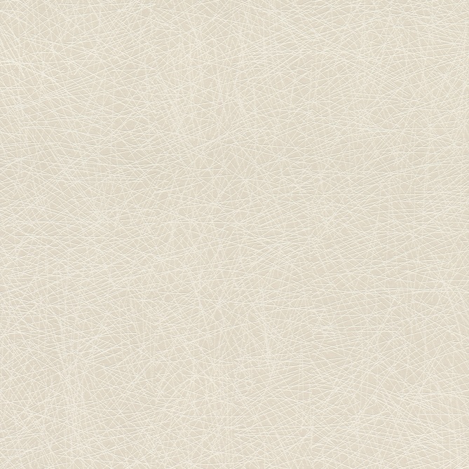 Papel Pintado Líneas entrelazadas - VAGUR 02 | MURAKE - 63537