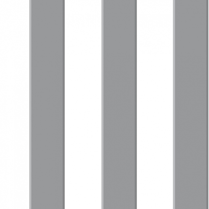 Papel Pintado Raya 3D - RATSI 01 | MURAKE - 53161