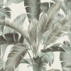 Papel Pintado Plantas tropicales - GERASA 01 | MURAKE - 63581 Papel Pintado Plantas tropicales - GERASA 01 | MURAKE - 63581