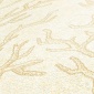 Papel Pintado Coral - BUCHA 01 | MURAKE - 109421