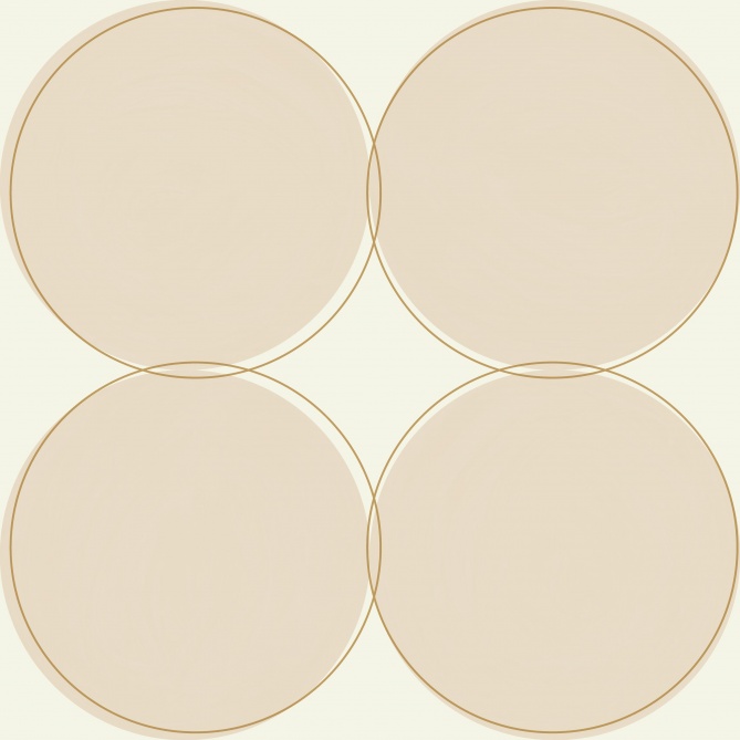 Papel Pintado Círculos dibujados - KENDAL 01 | MURAKE - 110531