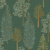 Papel Pintado Bosque de árboles - NAHELE 04 | MURAKE - 512091