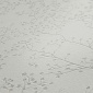 Papel Pintado Ramitas - GOBA 04 | MURAKE - 156284