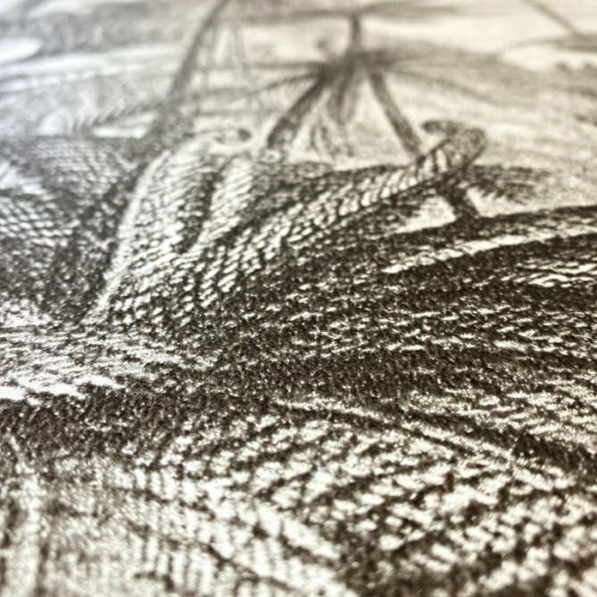 Papel Pintado Selva - ANGOCHI 02 | MURAKE - 988422