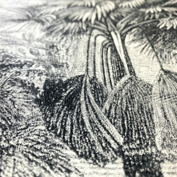 Papel Pintado Selva - ANGOCHI 06 | MURAKE - 988426