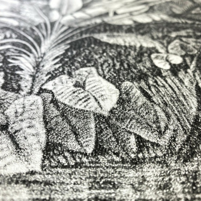 Papel Pintado Selva - ANGOCHI 07 | MURAKE - 988427