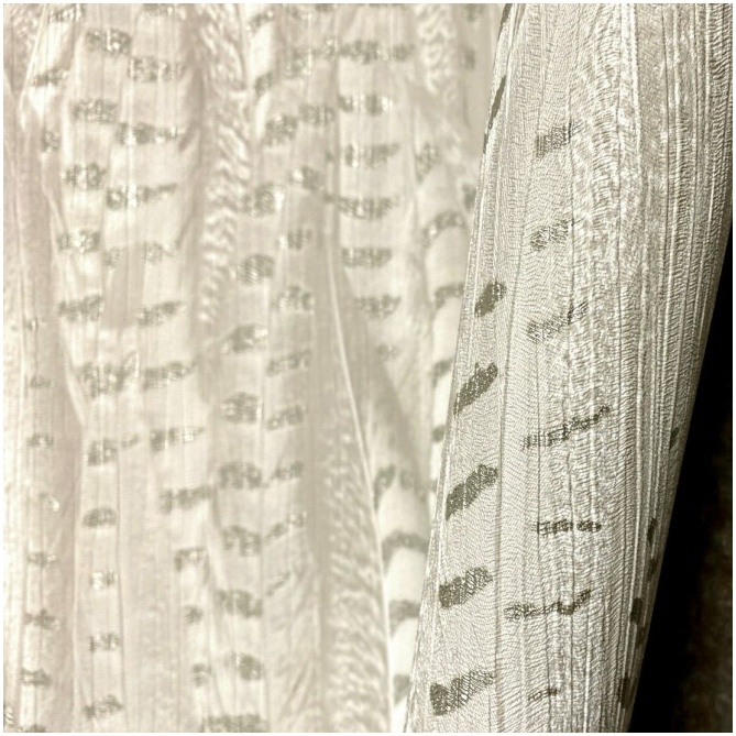 Papel Pintado Plumas de ave - DAMPHU 01 | MURAKE - 988365