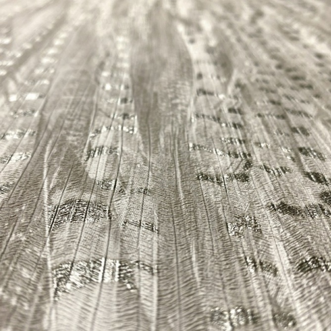 Papel Pintado Plumas de ave - DAMPHU 01 | MURAKE - 988365