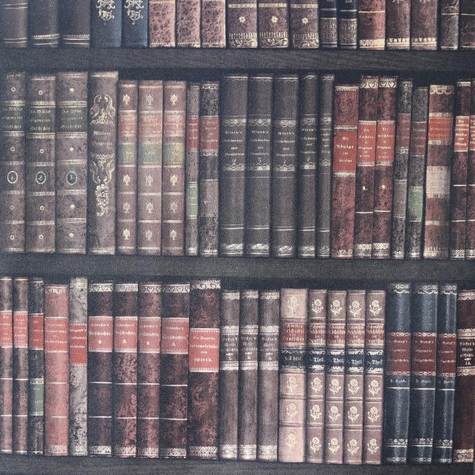 Papel Pintado Librería - BAEKUR  | MURAKE - 423374