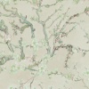 Papel Pintado Ramas con flores de cerezo - KIRSEN 02 | MURAKE - 423382 Papel Pintado Ramas con flores de cerezo - KIRSEN 02 | MURAKE - 423382