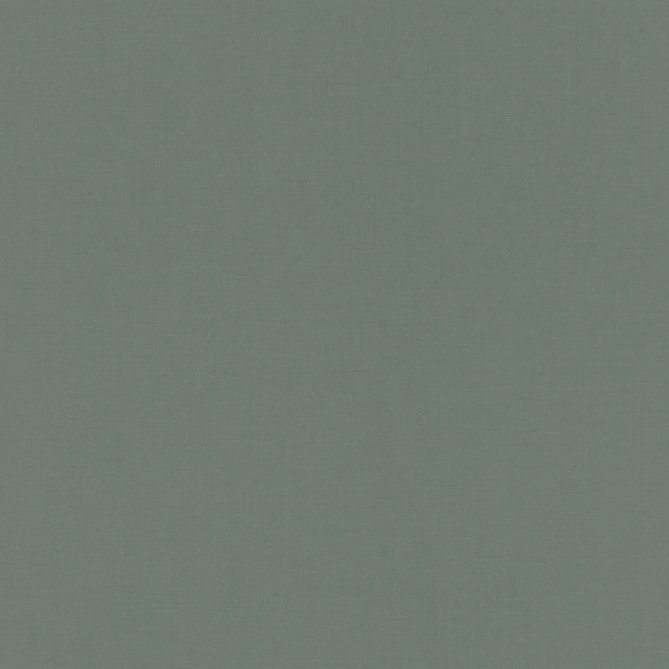 Papel Pintado Unicolor - LORAIN 04 | MURAKE - 991444