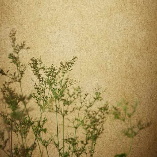 Papel Pintado Textura Yeso - AZUAY 07 | MURAKE - 988577