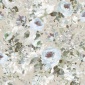 Papel Pintado Floral - KAEDI 01 | MURAKE - 73511