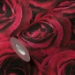 Papel Pintado Rosas - ROXET  | MURAKE - 541660