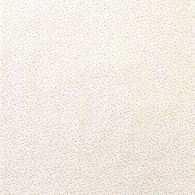 Papel Pintado Flores minúsculas - FARAS 01 | MURAKE - 87611