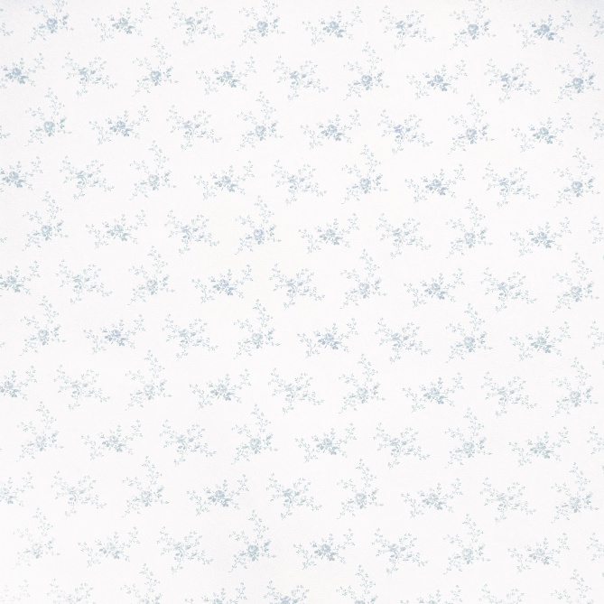 Papel Pintado Casa de campo - ESCOLO 03 | MURAKE - 87623