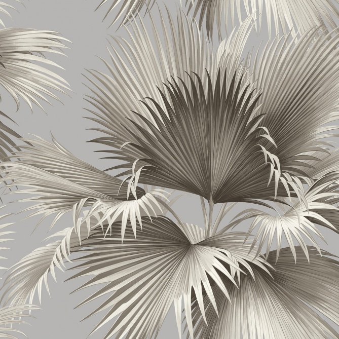 Papel Pintado Hojas de palmera - DONATO 05 | MURAKE - 91185