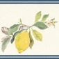 Cenefa Limones - HINES 03 | MURAKE - 991573