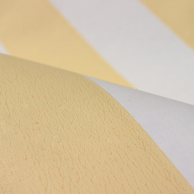 Papel Pintado Rayas - PICENO  | MURAKE - 779299