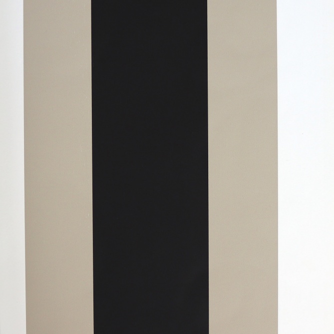 Papel Pintado Rayas diferentes anchos - JESOLO 03 | MURAKE - 779223