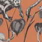 Papel Pintado Monos - BAEZA 04 | MURAKE - 90804
