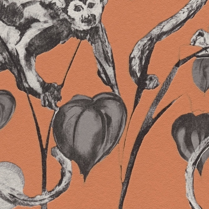 Papel Pintado Monos - BAEZA 04 | MURAKE - 90804