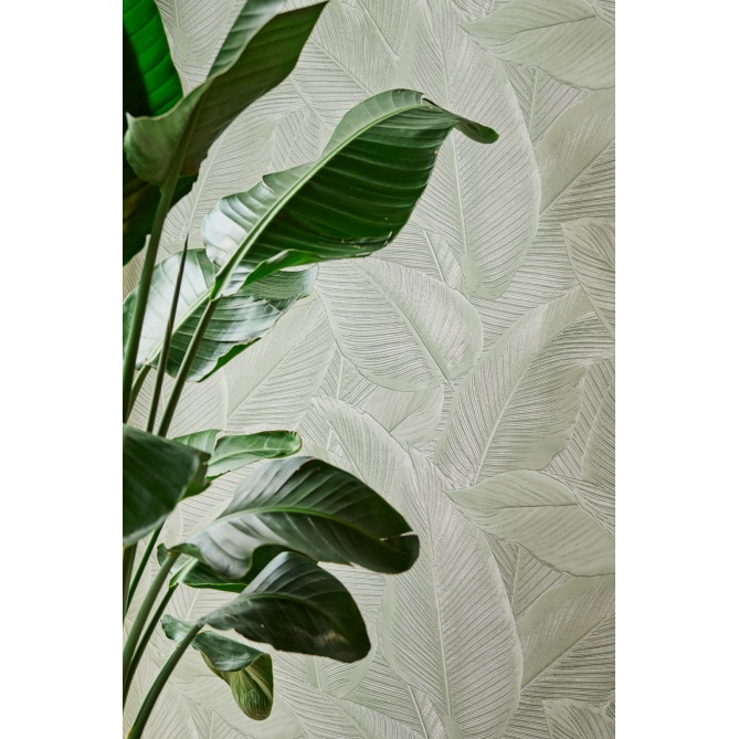 Papel Pintado Hojas de palma - DOGNA 02 | MURAKE - 44662