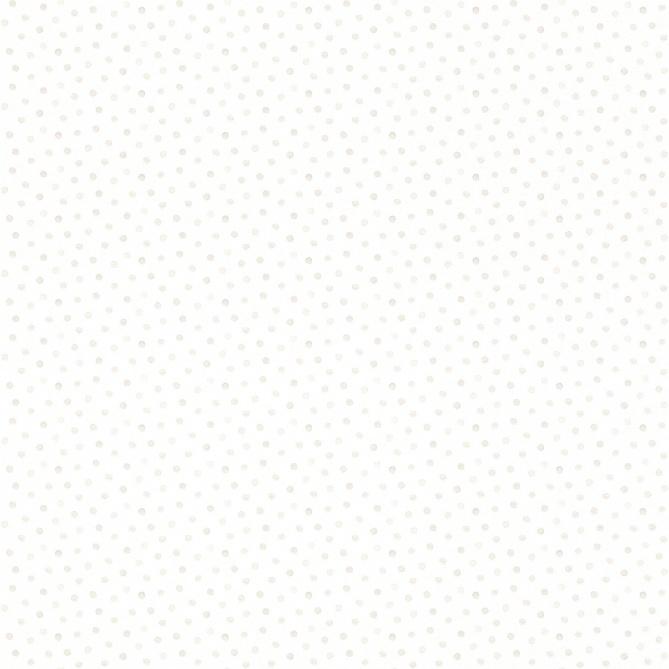 Papel Pintado Puntos pequeños - OVAN 02 | MURAKE - 991872