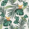 Papel Pintado Hojas tropicales - KALNE 02 | MURAKE - 11222
