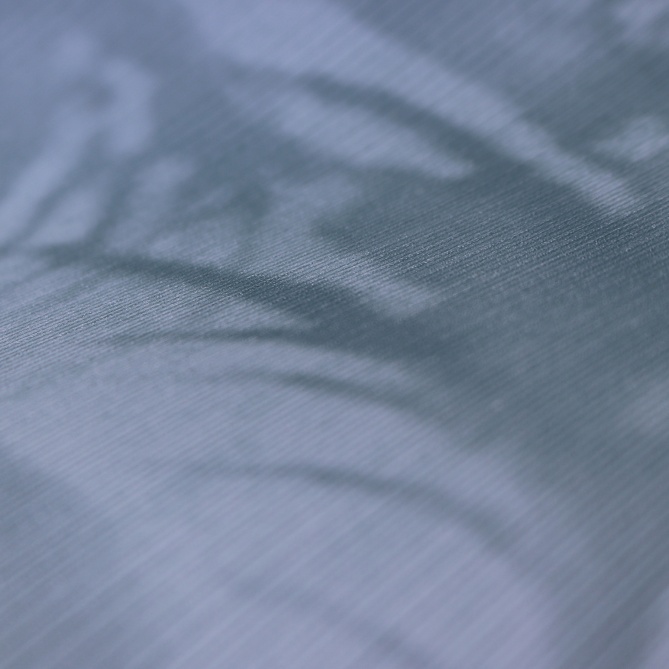 Papel Pintado Hojas de palmera - AMGALA 06 | MURAKE - 37706