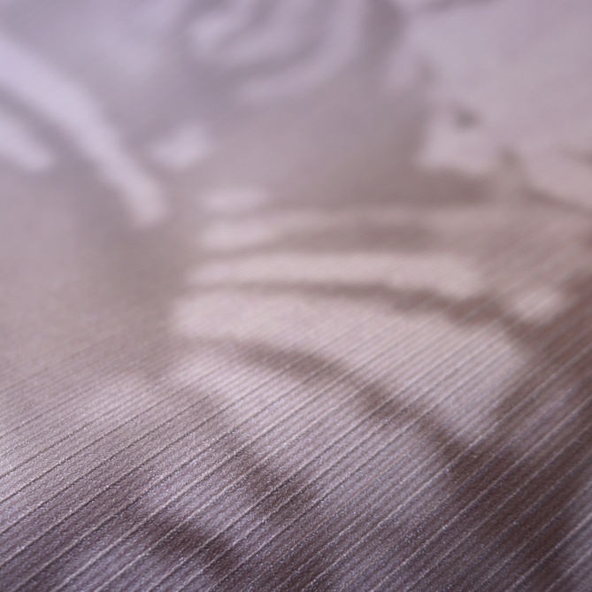 Papel Pintado Hojas de palmera - AMGALA 04 | MURAKE - 37704