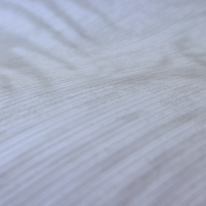 Papel Pintado Hojas de palmera - AMGALA 01 | MURAKE - 37701