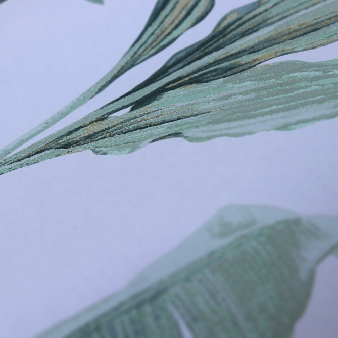 Papel Pintado Plantas exóticas - BUCRAA 01 | MURAKE - 37741