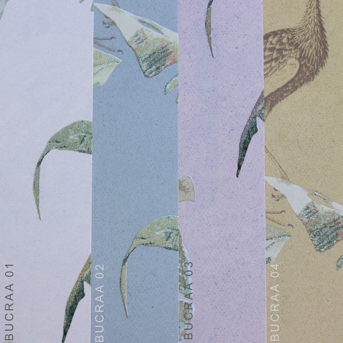 Papel Pintado Plantas exóticas - BUCRAA 03 | MURAKE - 37743