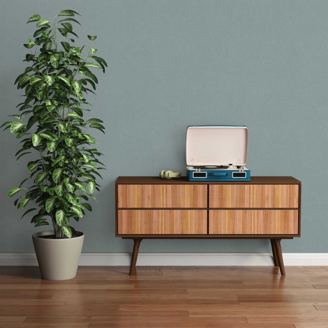 Papel Pintado Yeso - BULLY 01 | MURAKE - 878271