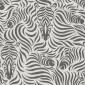 Papel Pintado Cebras - KUDA 03 | MURAKE - 11368
