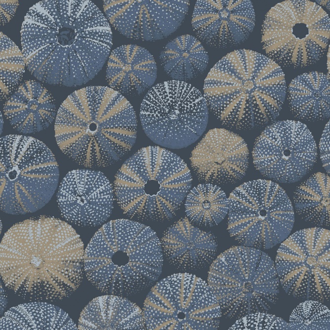 Papel Pintado Conchas de erizo - BAWO 02 | MURAKE - 85692