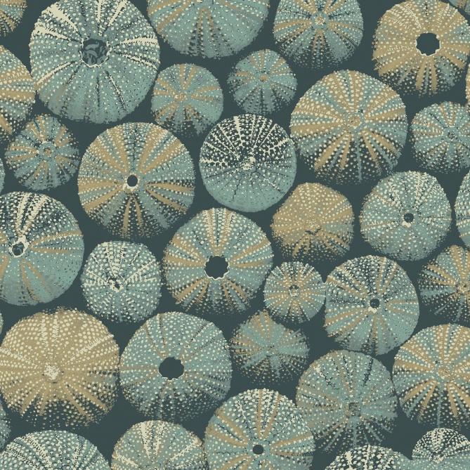 Papel Pintado Conchas de erizo - BAWO 03 | MURAKE - 85693