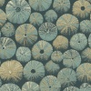 Papel Pintado Conchas de erizo - BAWO 03 | MURAKE - 85693