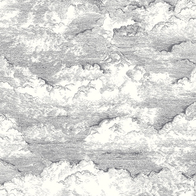 Papel Pintado Nubes - PILVED 04 | MURAKE - 85649
