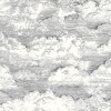 Papel Pintado Nubes - PILVED 04 | MURAKE - 85649