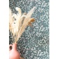 Papel Pintado Plantas - NANTES 06 | MURAKE - 85066