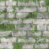 Papel Pintado Piedra con hiedra - EFOY  | MURAKE - 87668