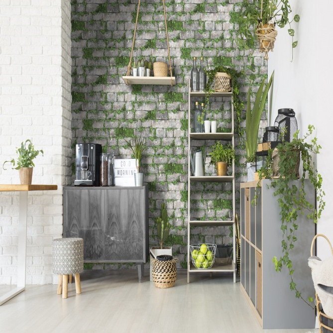 Papel Pintado Piedra con hiedra - EFOY  | MURAKE - 87668