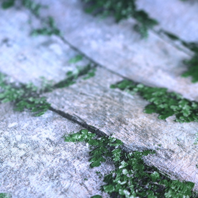 Papel Pintado Piedra con hiedra - EFOY  | MURAKE - 87668