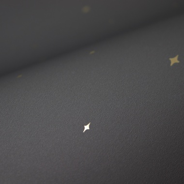 Papel Pintado Estrellas - NYOTA 03 | MURAKE - 512094