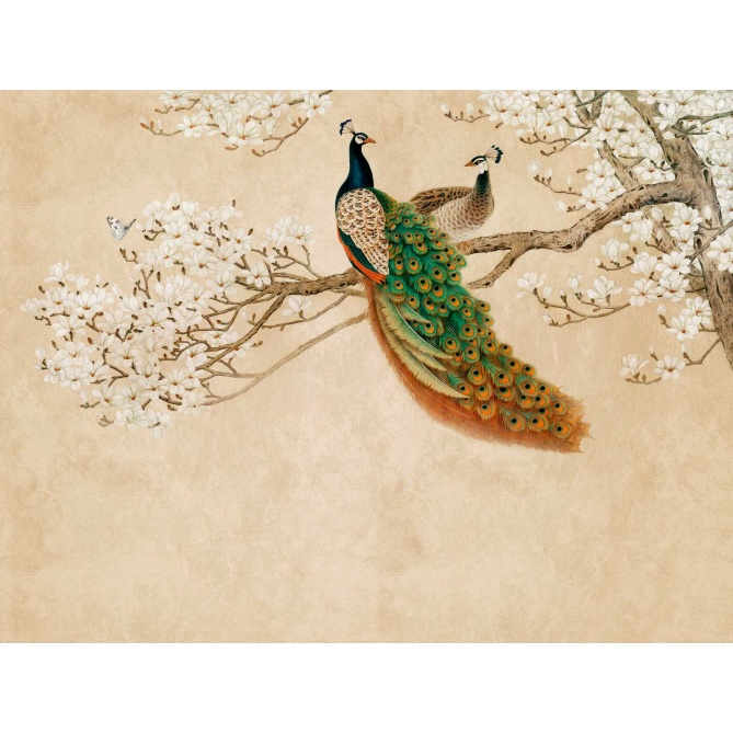 Mural Pavo Real - BEREZNE  | MURAKE - 23805